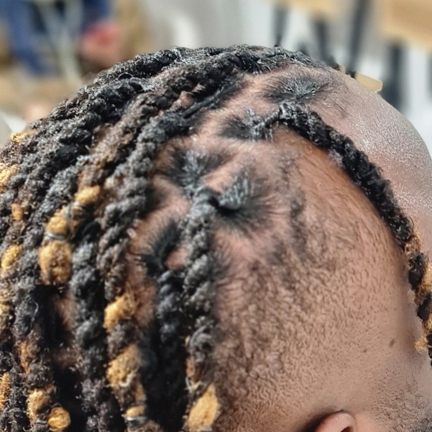 FORMATION VIDEO : L'Art des Locks