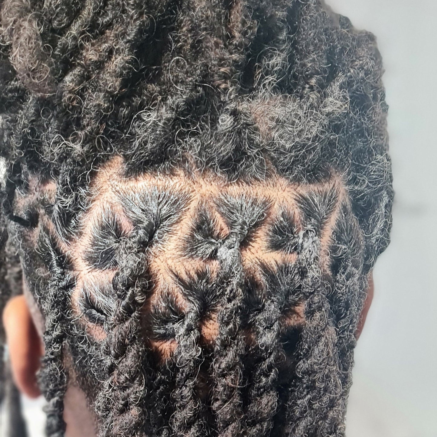 FORMATION VIDEO : L'Art des Locks