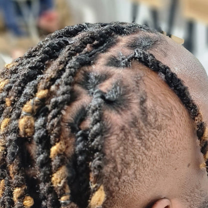 FORMATION VIDEO : L'Art des Locks