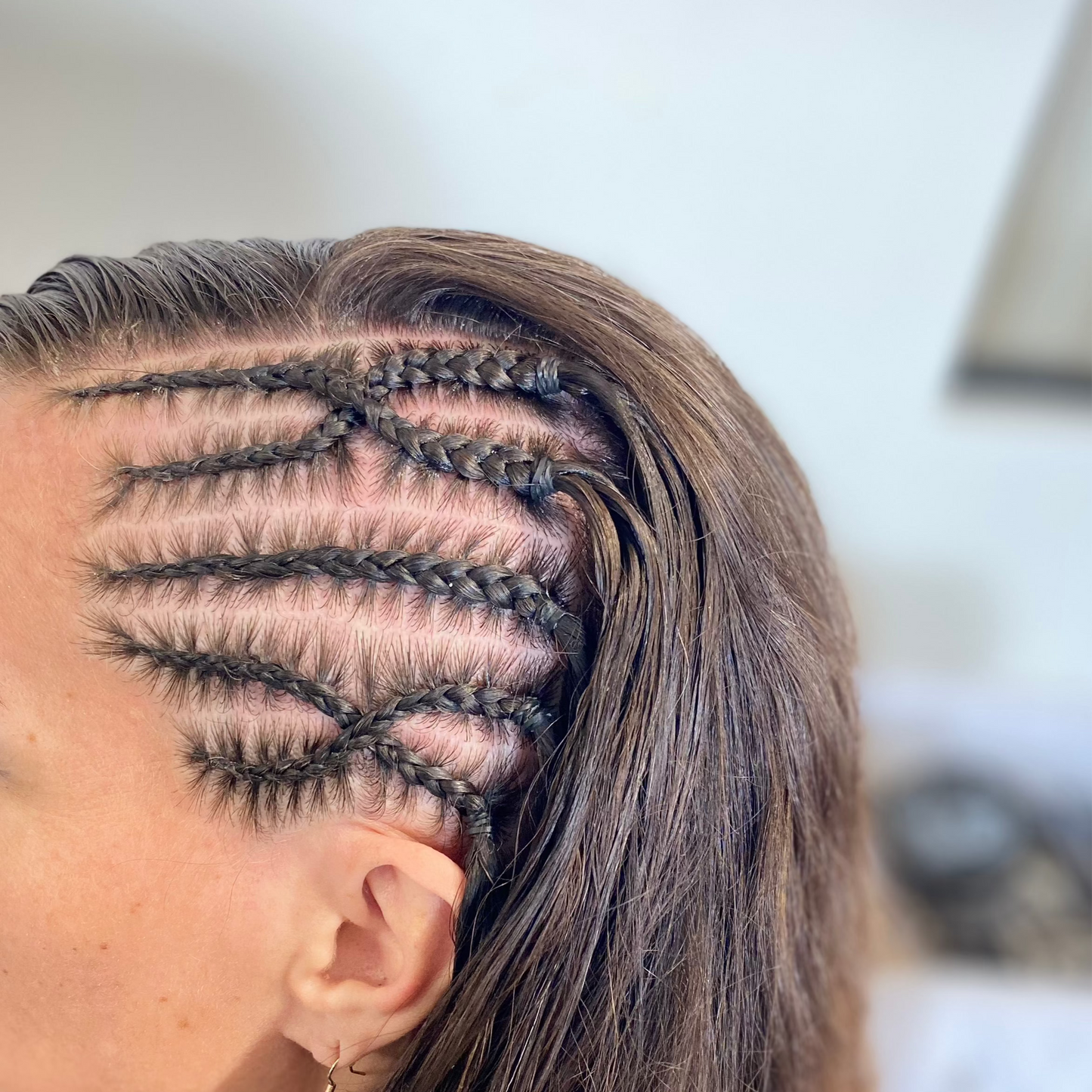 FORMATION VIDEO : Les Fondamentaux des Tresses Afro