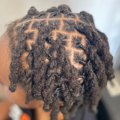 FORMATION VIDEO : L'Art des Locks