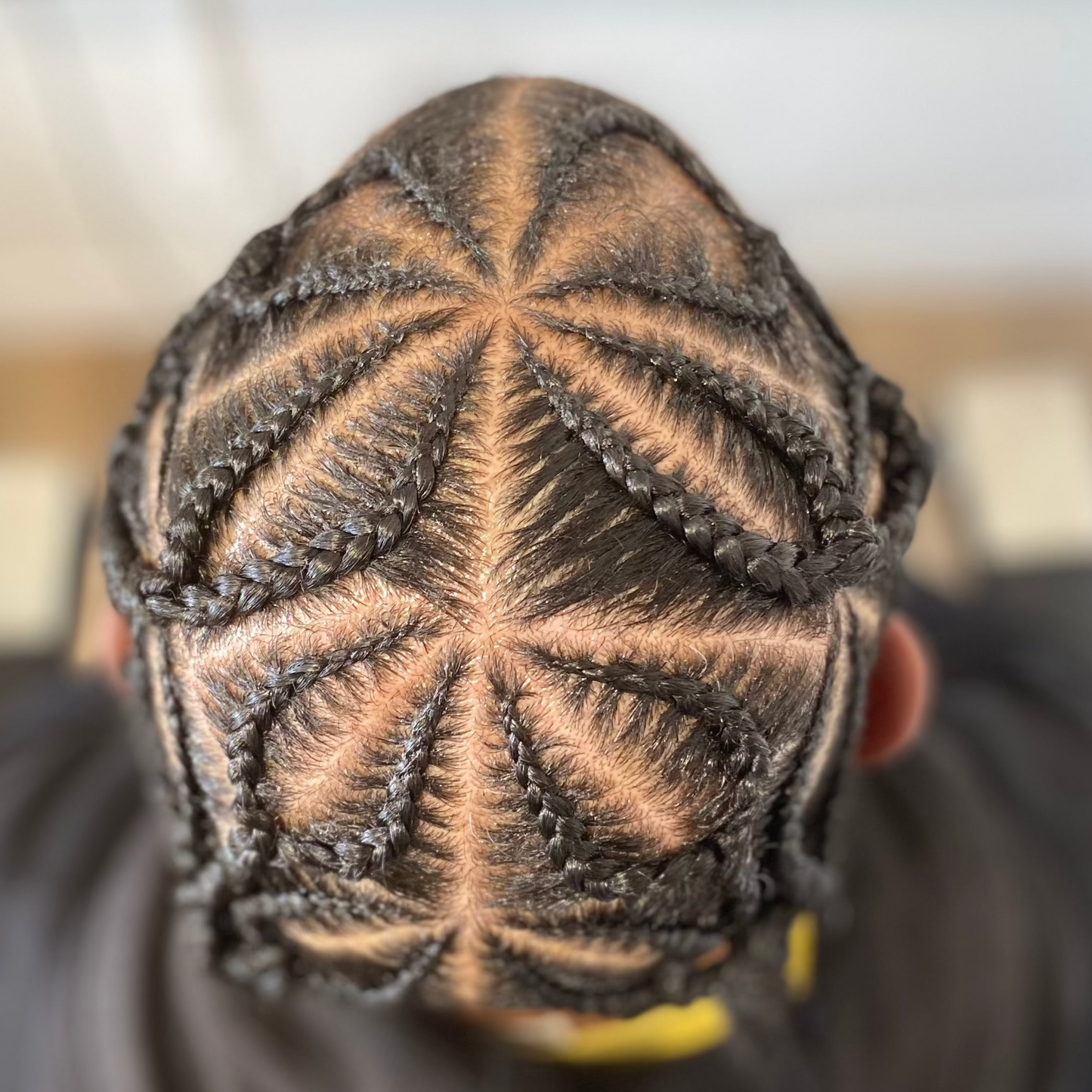 FORMATION VIDEO : Les Fondamentaux des Tresses Afro
