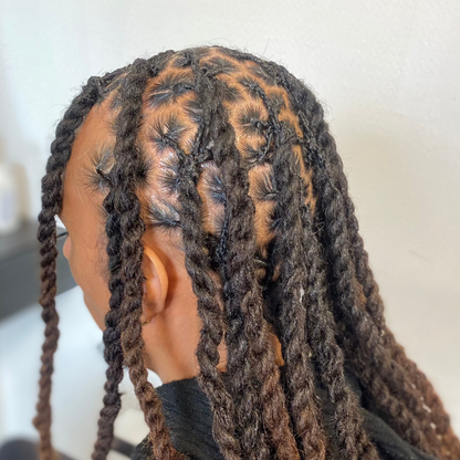 FORMATION VIDEO : L'Art des Locks